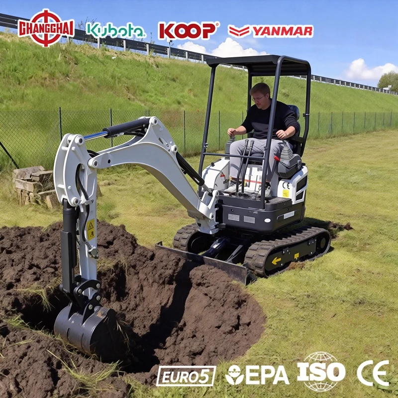 

Мини-экскаватор 1,0 тонны с двигателем Kubota, стандарт EPA/Euro 5, многофункциональный мини-экскаватор для строительных работ, дизельный двигатель YANMAR, европейская версия.
