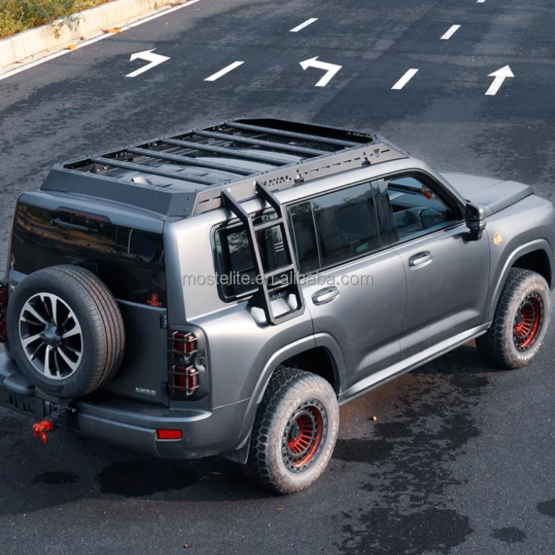 STLF New Design Car Body Parts Steel Side Ladder Detachable Luggage Roof Rack for Haval H9 2025 Accessories