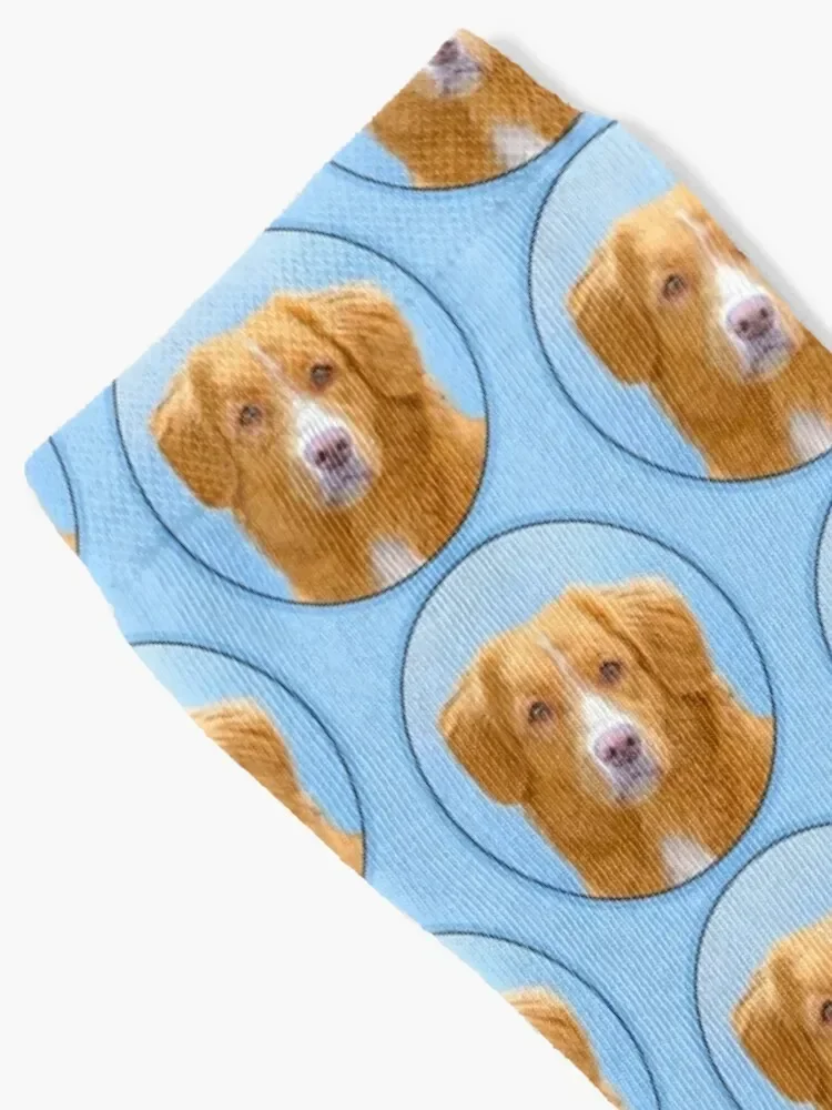 Nova Scotia Duck Tolling Retriever Dog Painting Socks luxury moving stockings sports stockings gifts Socks Women Men's