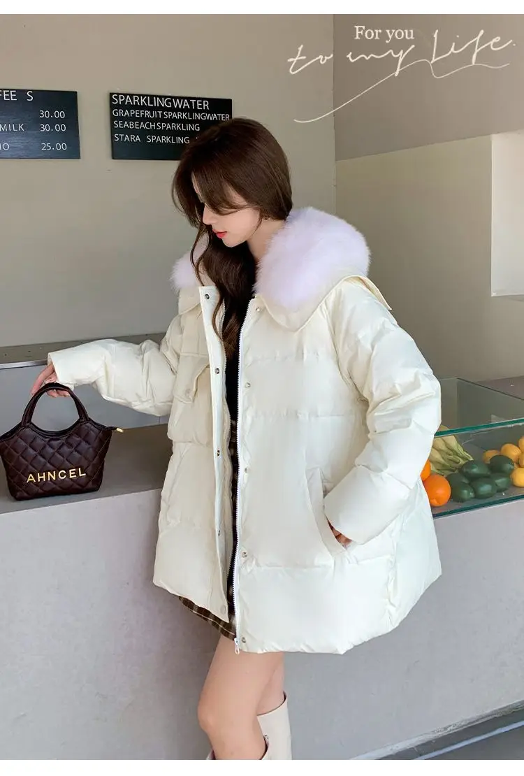 2026 Europese herfst/winter donsjack voor dames, losse vrijetijdsjas met marineblauwe kraag