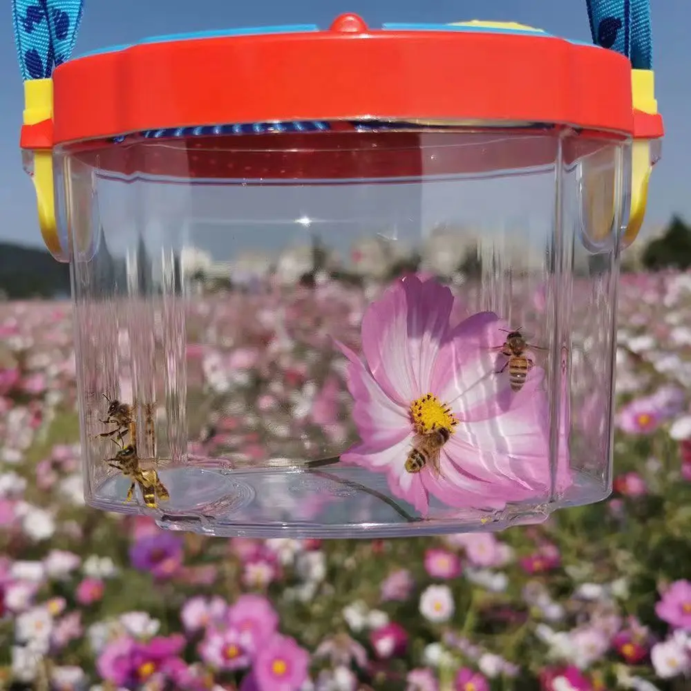 

Novel Insect Observation Box Outdoor Collection Telescope Tadpole Butterfly Silkworm Biological Experiment Capture Tool