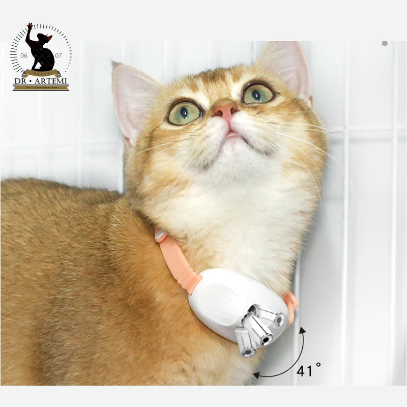 Smart Tease Laser Kragen USB Ladung interaktive Katzen spielzeug Magic Cat Teasing Kragen Laser