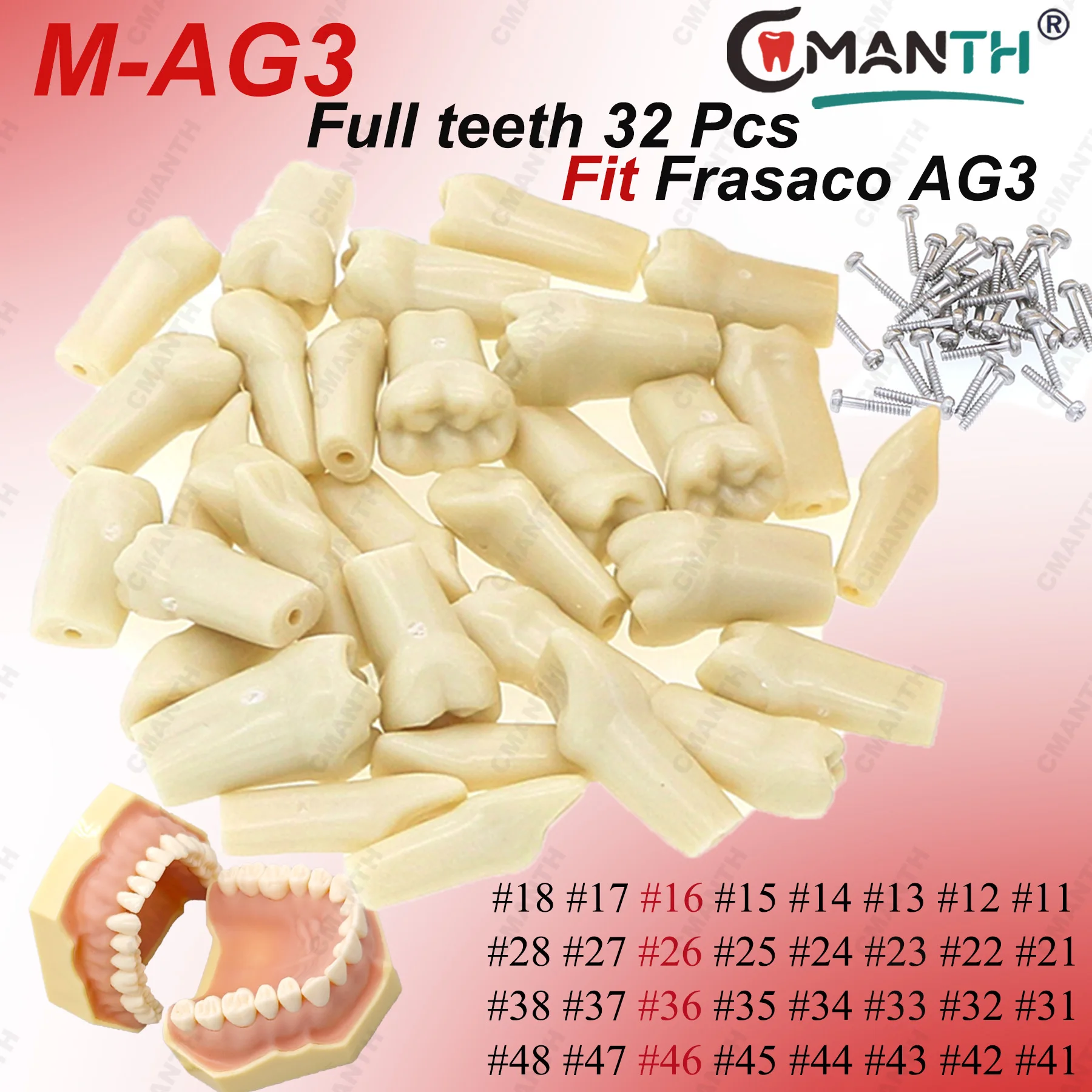 

Запасные зубные части для модели зубов Frasaco AG3 Typodont, вкручиваемые, для практики пломбирования, с мягким материалом для имитации десны