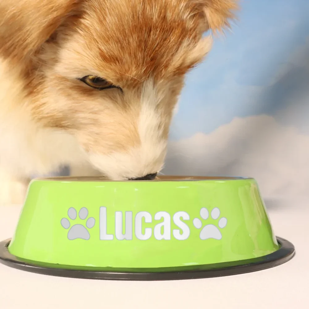 Customized Personalized Stainless Steel Tray Dog Bowl Basin Cat And Dog Pet Bowl Non Slip Feeding Pet Supplies Can Be Wholesale - Image 4