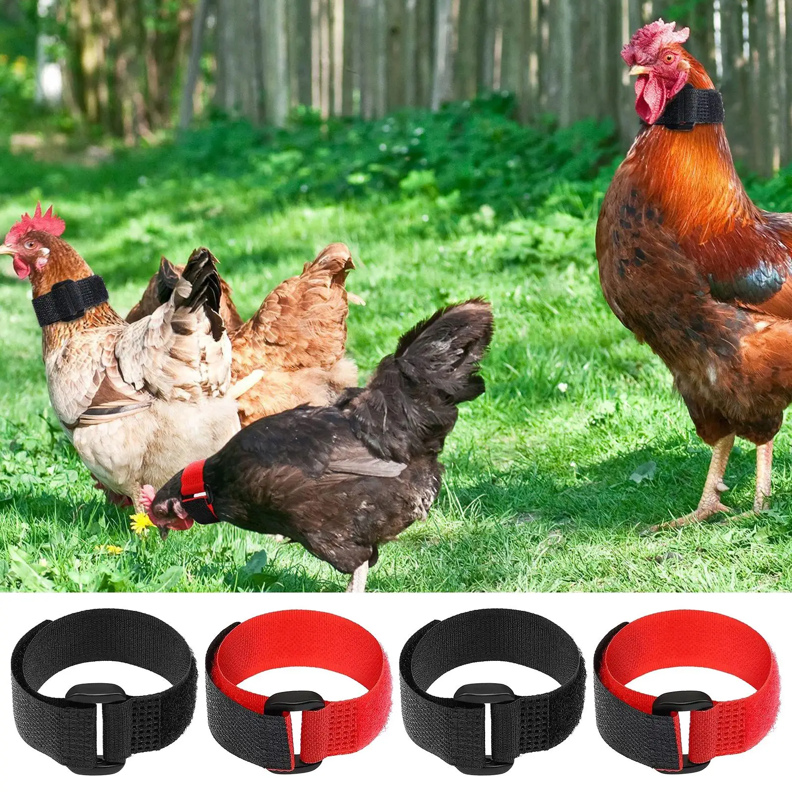 Rooster Collar Prevent Chicken Screaming 4x for Poultry for Farm Poultry Kit