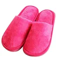 Rose Red 38-39