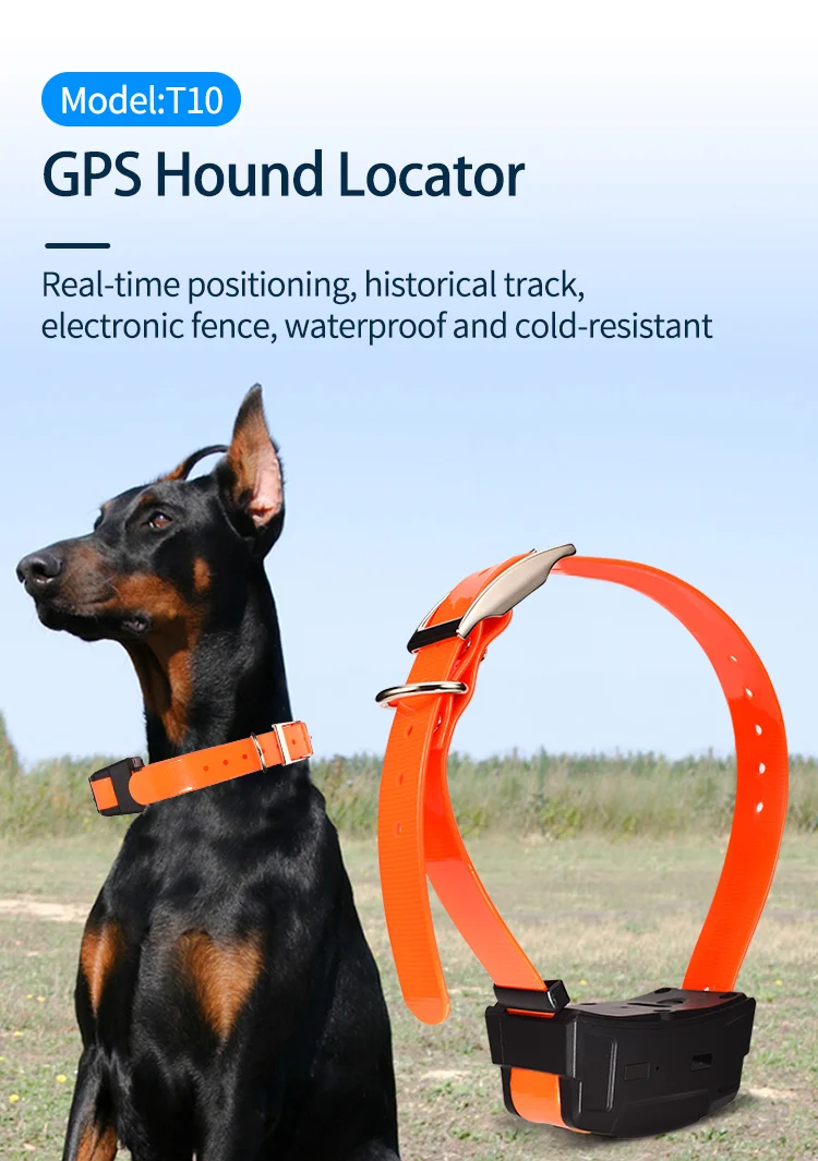 4G GPS Tracker for Dogs, Hunting Dog Tracker Collar, GPS+Beidou+WiFi+LBS, Camera Photo, Voice Monitor, IP67, 4000mAh