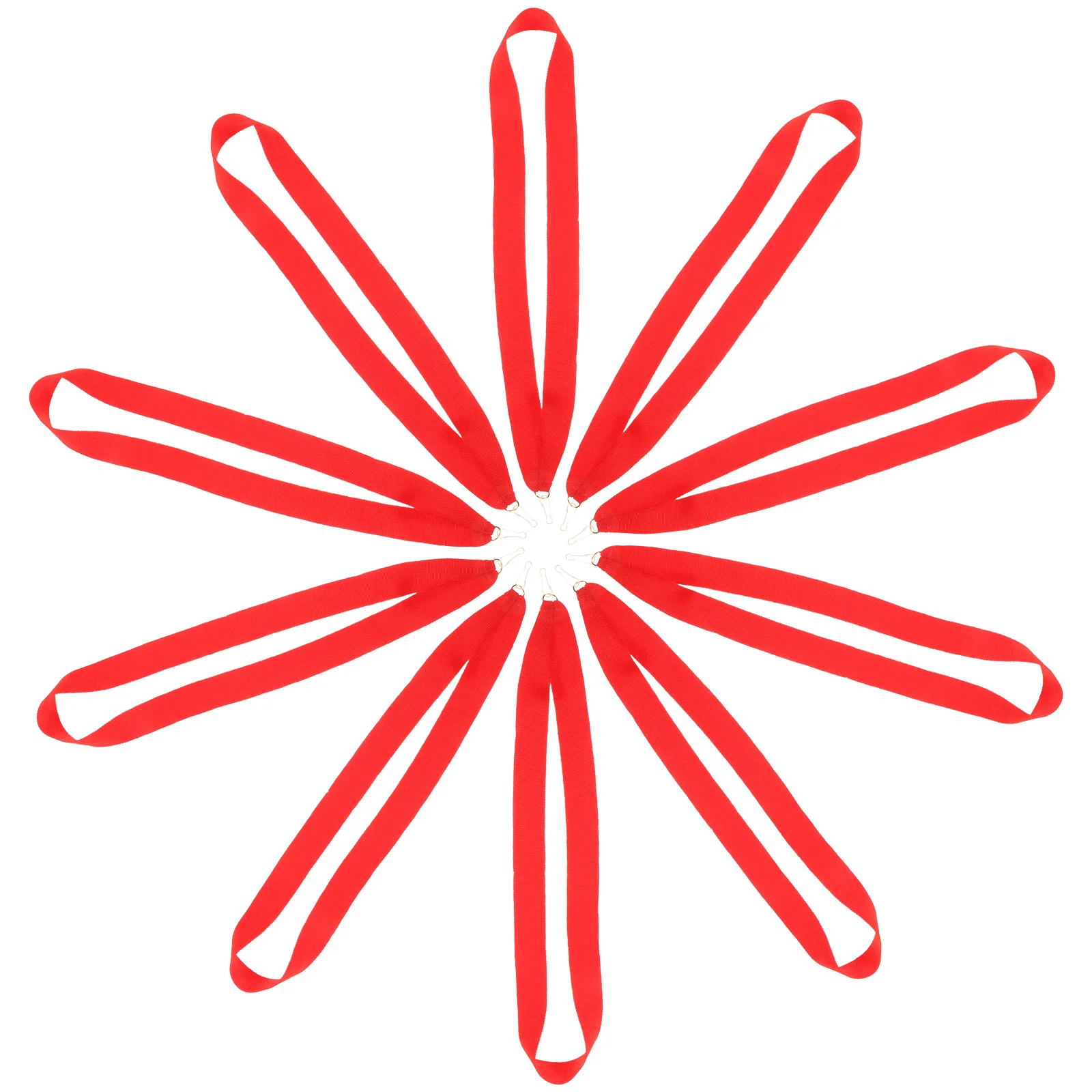 10 Pcs Medal Lanyard Competition Award Ribbon Straps Neck for Medals Polyester Sports Meeting Hanging