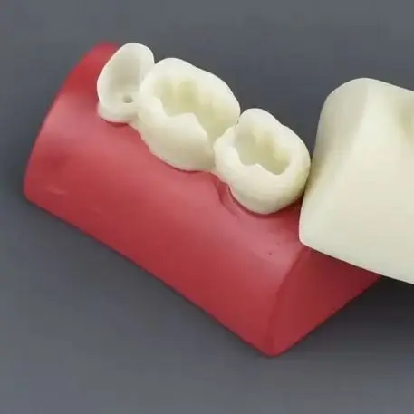 

Dental Inlay Exercise Model Block Filling Exercise Typodont Resin Materials for Dentistry Teaching Study
