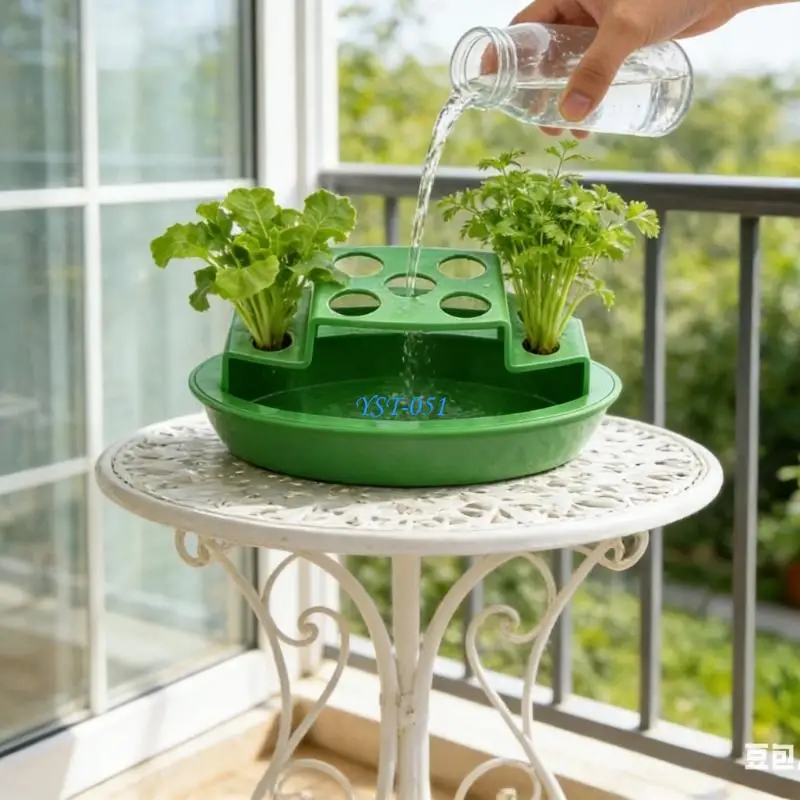 E15A Hydroponic Scallion Planter,Hydroponic Container - Onion Window Planter,for Scallion Regrow Kitchen Windowsill