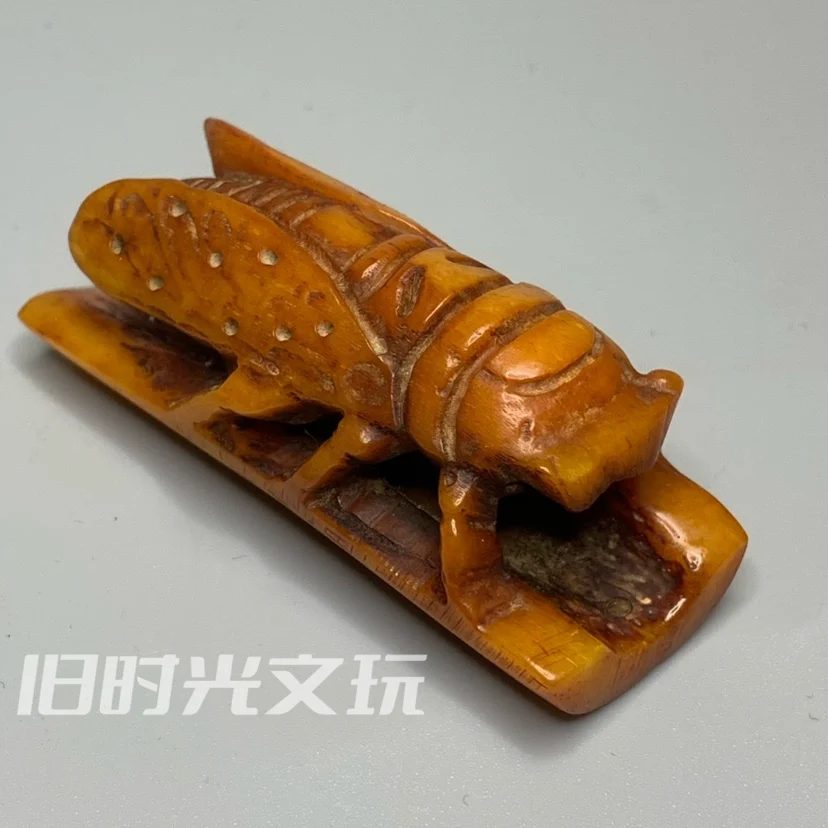 

Realistic natural yak bone carving, cicada pendant, cicada hand handle, stunning pendant, ornament, bone product