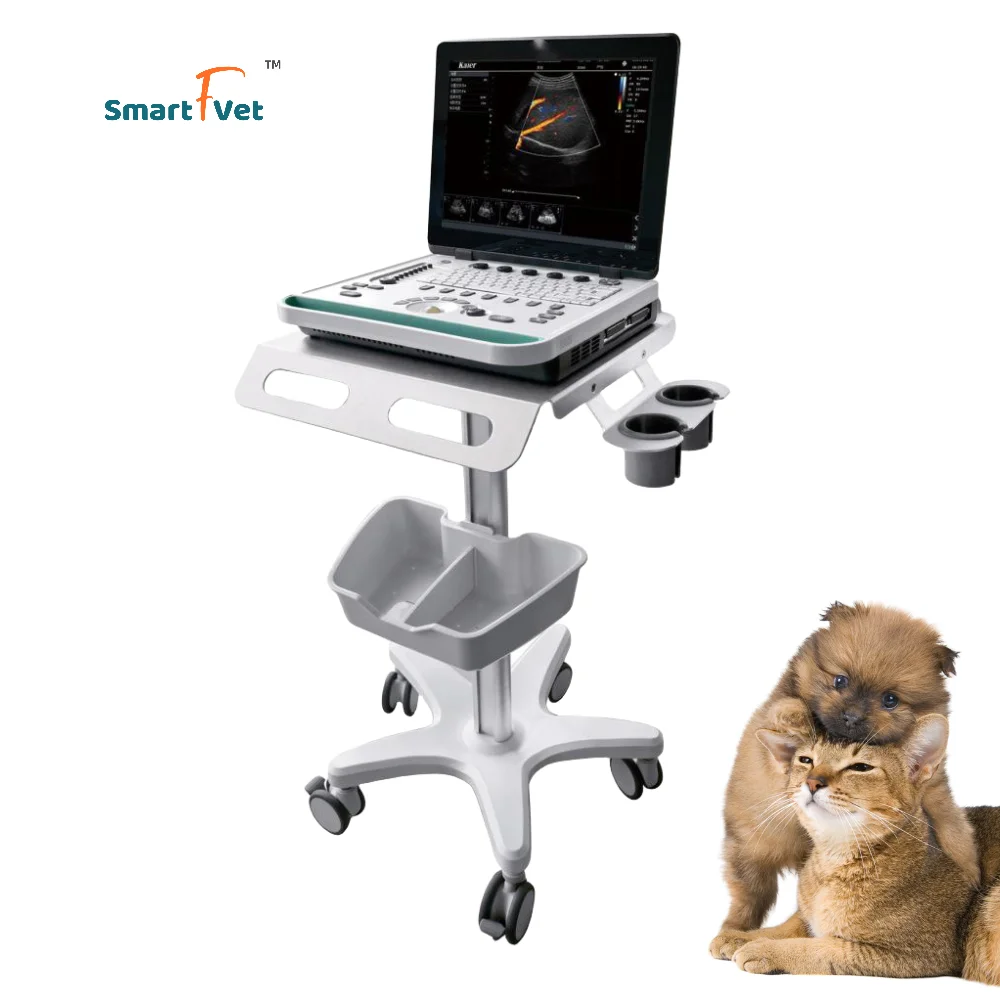 Color Doppler  Convex Probe Portable Ultrasonic Diagnostic Machine Veteriary Ultrasound Scanner