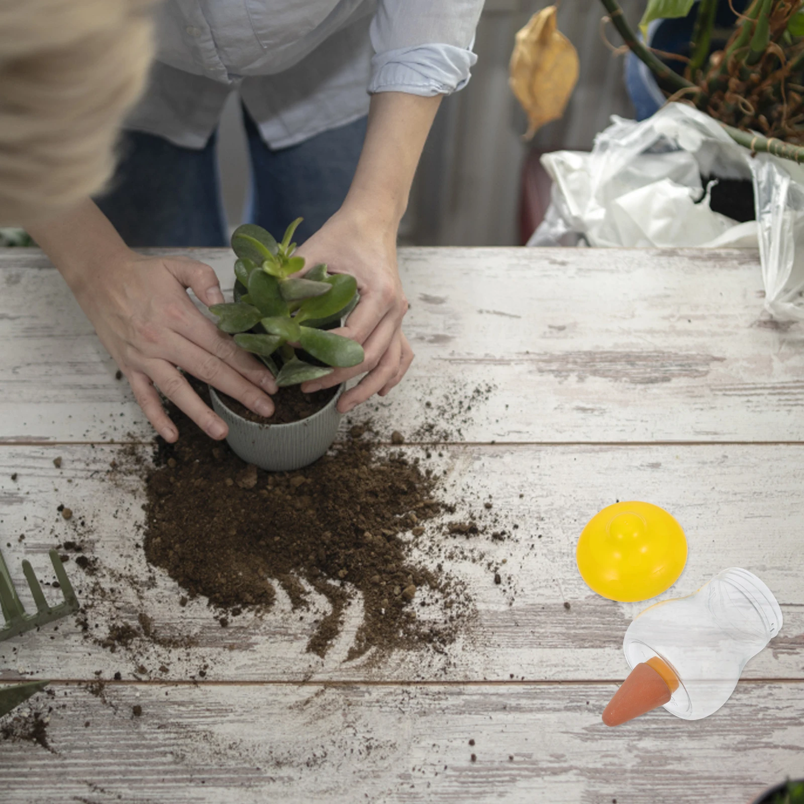 

Automatic Plant Watering Device Portable Self Watering Dripper Slow Drip Irrigation Tool for Home Garden Indoor Potted Plants