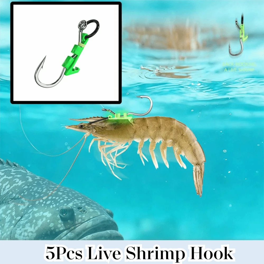 5Pcs Stainless Luminous Live Shrimp Hooks Sharp Barbed Anti-entanglement Luminous Bait Fixed Holder Set Anti Slip No Unhooking