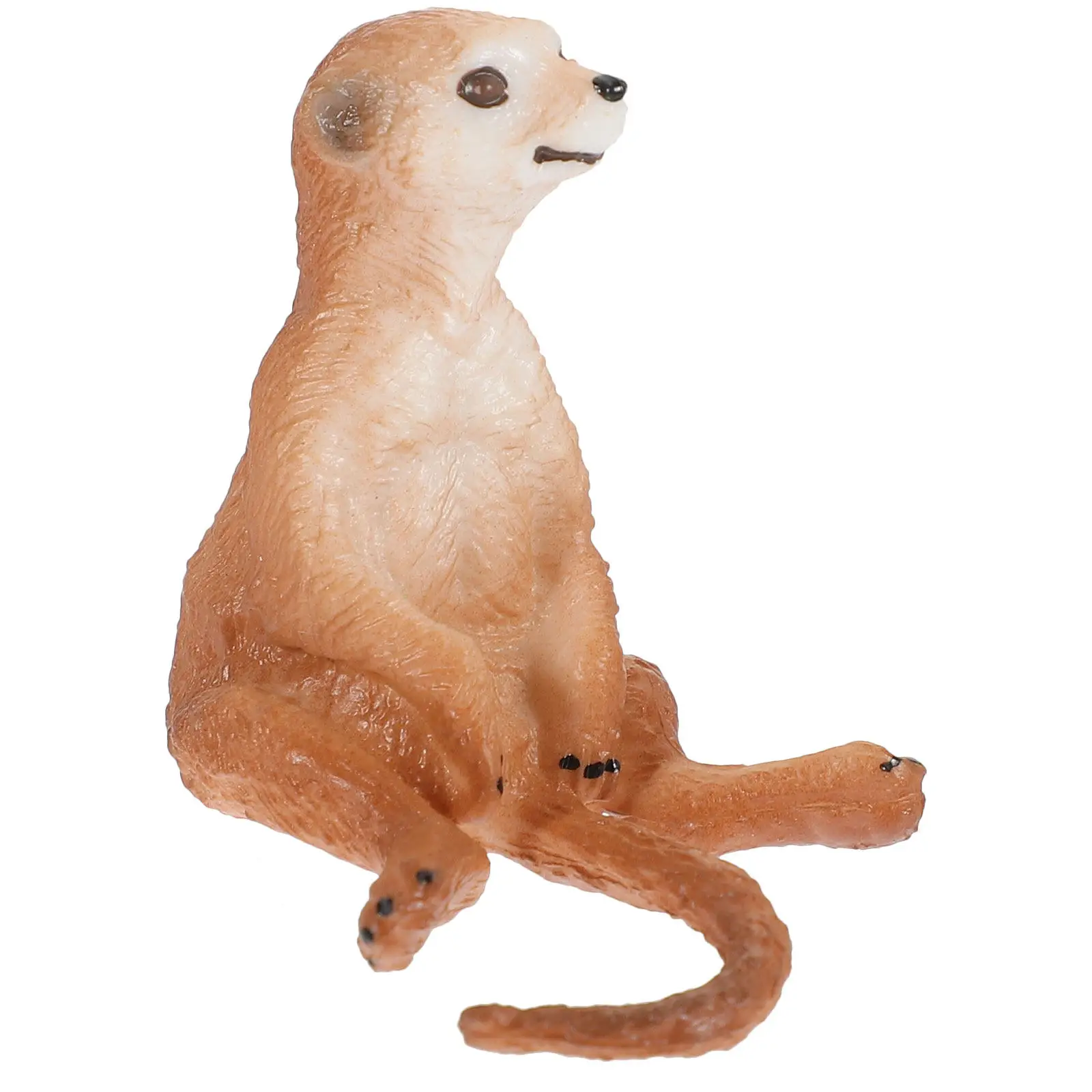 

Simulation Meerkat Solid Plastic Animal Decorative Wildlife Exploration Realistic Recognition Figure