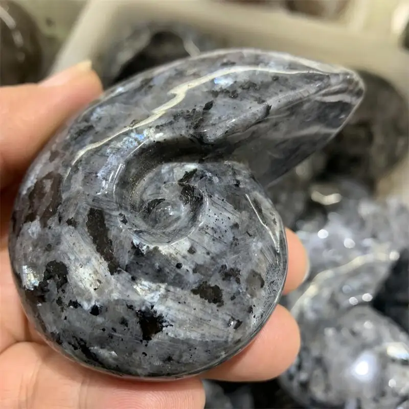 Natural Larvikite Snail Shell Carving Chakra Reiki Healing Statue Fengshui Home Decor Gift - Unique Shell Sculpture view 6