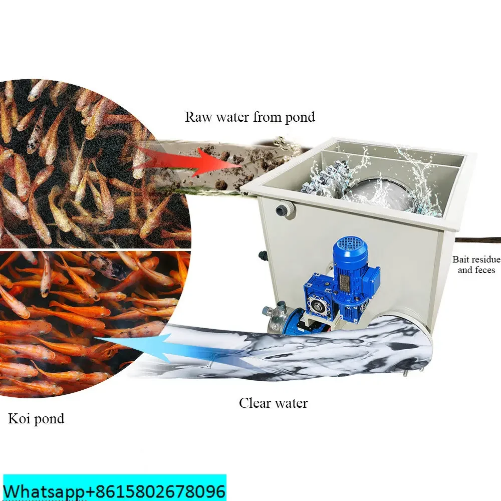 QihangRAS high quality rotary drum filter wholesale fish pond farming aquaculture drum filter