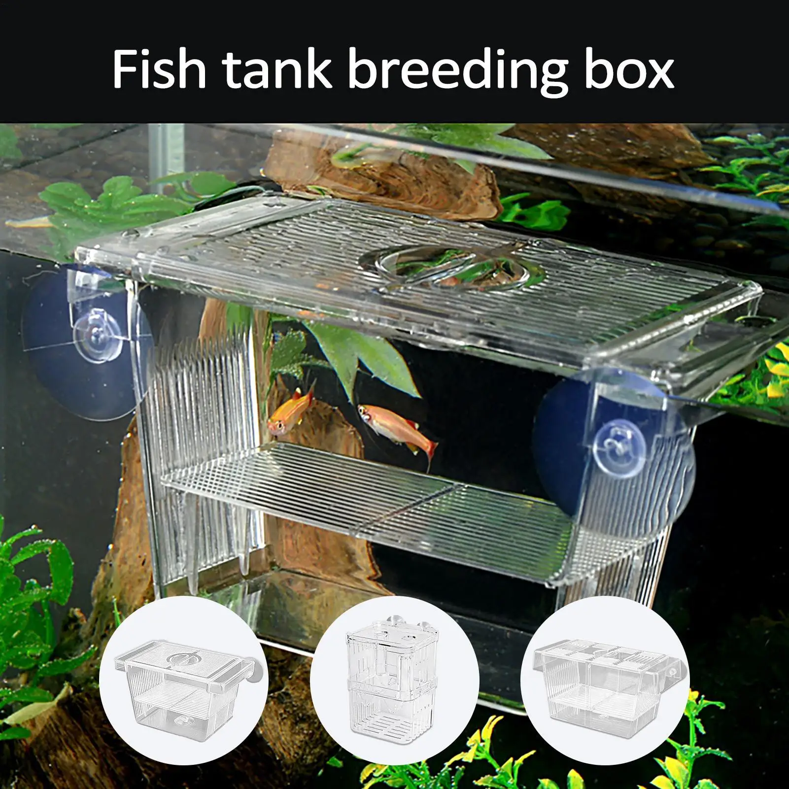 Aquarium Fish Breeder Box Clear Betta Fish Tank Fish Breeding Isolation Box Hatching Incubator Box For Baby Fish Shrimp Trap Box