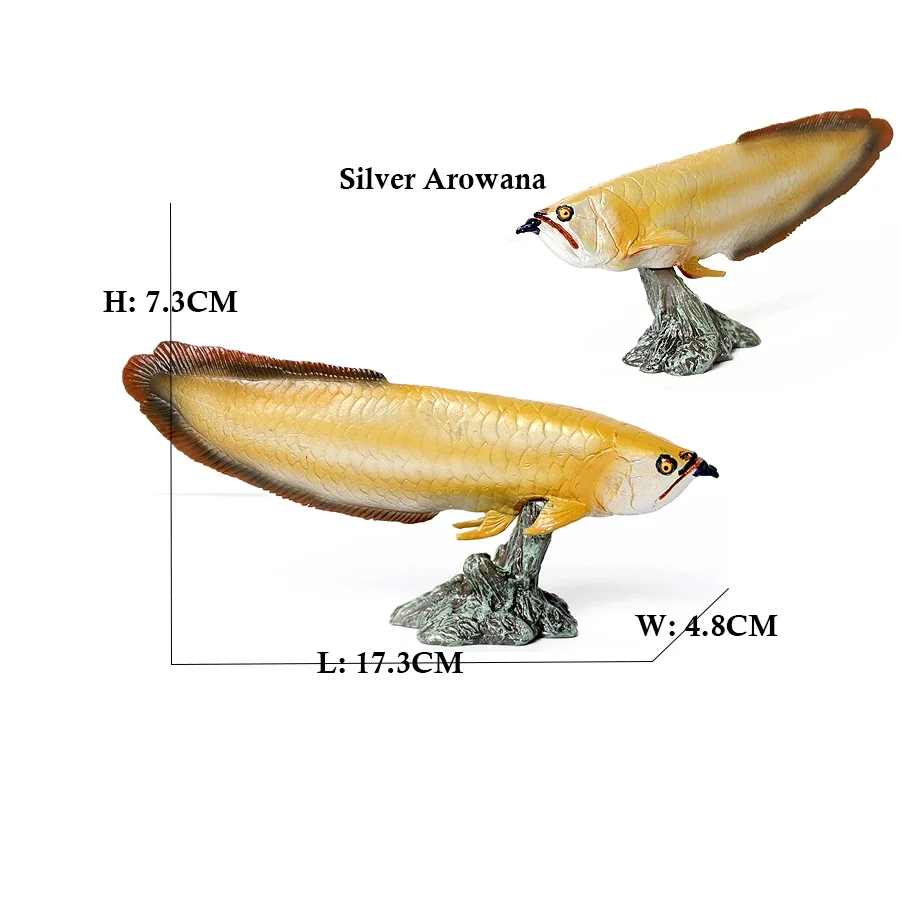 Arowana Pirarucu Coelacanth Bichir Alligator fish Model Marine Animal Action Figures Collectible Toys for Kids Educational Gifts