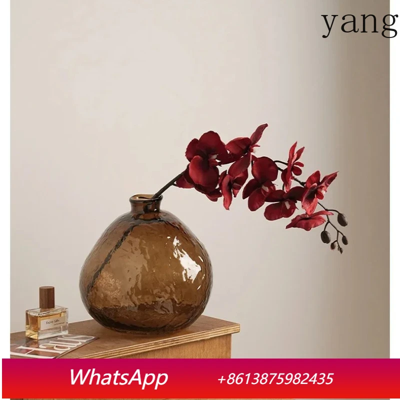 

Transparent Brown Glass Vase Hydroponic Plants Potted Plants Dining Table Decoration