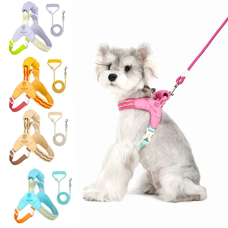 Dog Harness and Leash Set Breathable Mesh Anti-Pull Puppy Walking Vest Adjustable Buckle Pet Harness for Small Medium Dogs