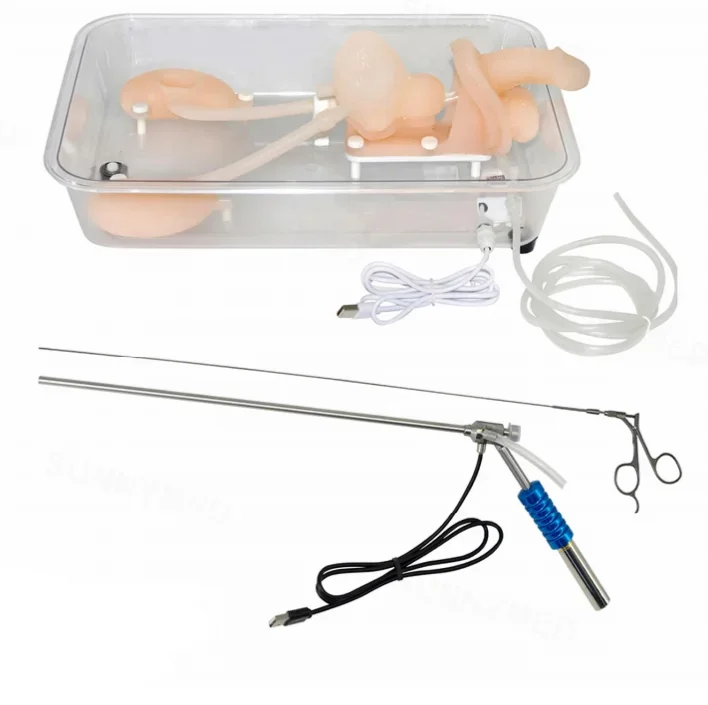 SY-NS12 High Simulation Simulation Stomach Adult 1 To 1 Ratio For Teaching Ureteroscopy Training Model