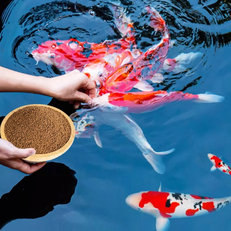 Banzibanhong All-Purpose Fish Food, Floating Small Pellets for Goldfish, Koi, Guppies & Tropical Fish, Clear Water Formula view 5