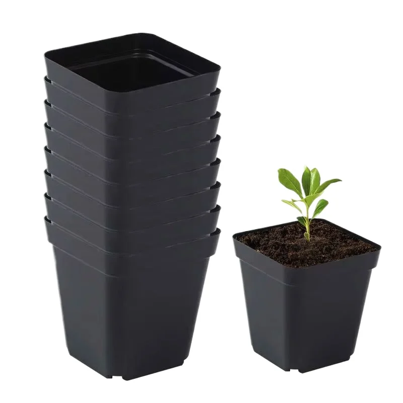 Zaailing Potten 50 Stuks Vierkante Plant Zaaien-Plantbeker Plastic Diepe Kwekerij Boom Pot Bloem Plant Container Pot tuin Groeien - afbeelding 2