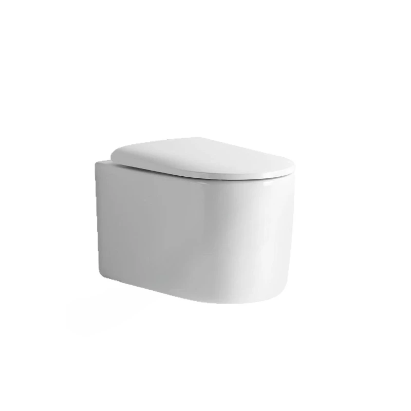 

Single hole flushing ceramic wall-mounted outlet wall drain toilet hanging toilet
