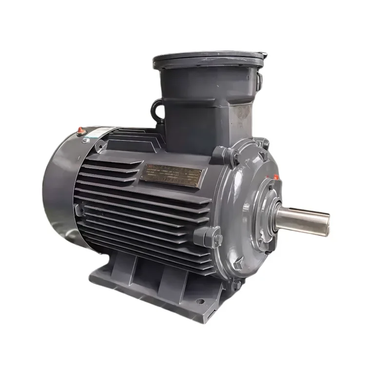 มอเตอร์ไฟฟ้ากระแสสลับแรงดันต่ำ 4P ป้องกันการระเบิด สำหรับการแปรรูปอาหารในภาคสนาม และการใช้งานที่ต้องการป้องกันการระเบิดจากฝุ่น