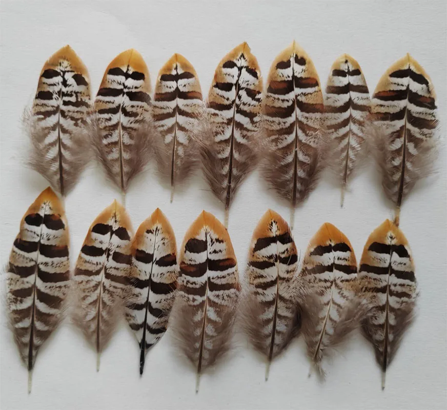 Fly Tying Materials! 10Pcs 5-9cm Natural REEVES VENERY PHEASANT SMALL WING FEATHERS for Diy Carnival Costume Mask Headdress