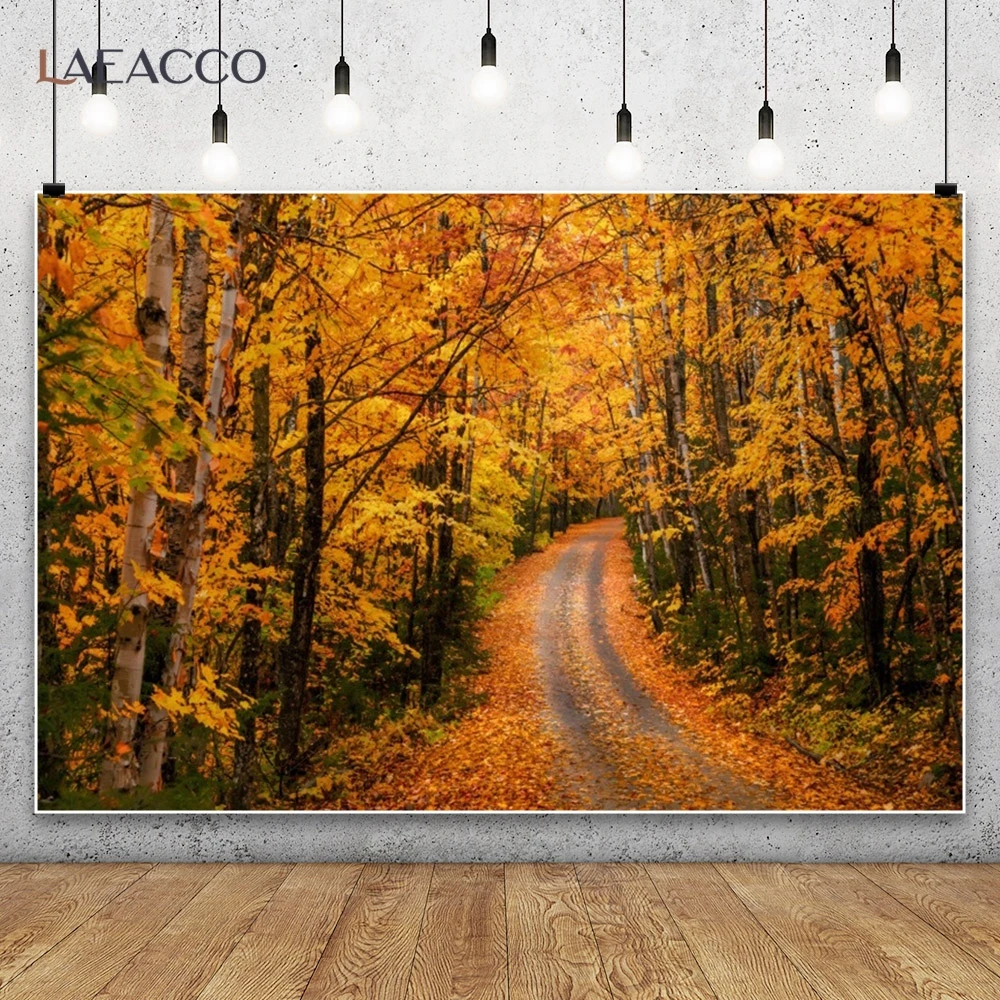 Autumn Natural Scenery Mountain and Forest Photography Background Fall Leaves Boulevard Road Indoor Wall Decor Backdrop Banner