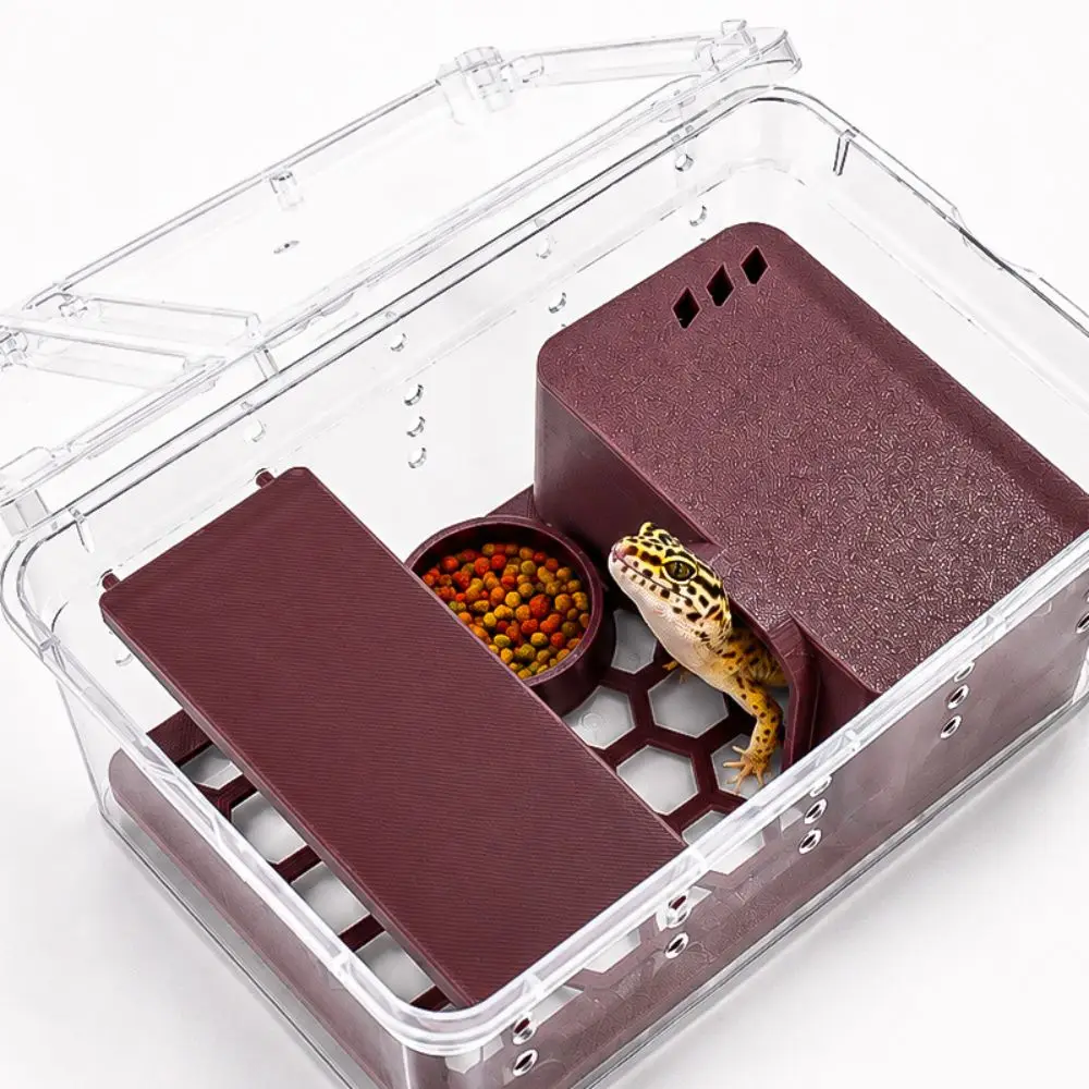 Drop-Resistant Reptile Habitat Clear Detachable Reptile Terrarium Food Dish Climbing Frame Lizard Enclosure For Small Animals