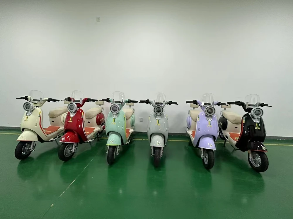 High Quality 800W Brushless 14-Inch Leisure Electric Bicycle 1-Speed 48V Direct Digital Central 14-Inch Leisure Electric Central