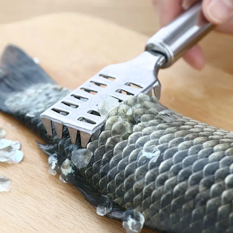 Stainless Steel Fish Scaler Remover Manual Fish Scale Scraper Cleaning Tool Practical Kitchen Seafood Processing Gadget