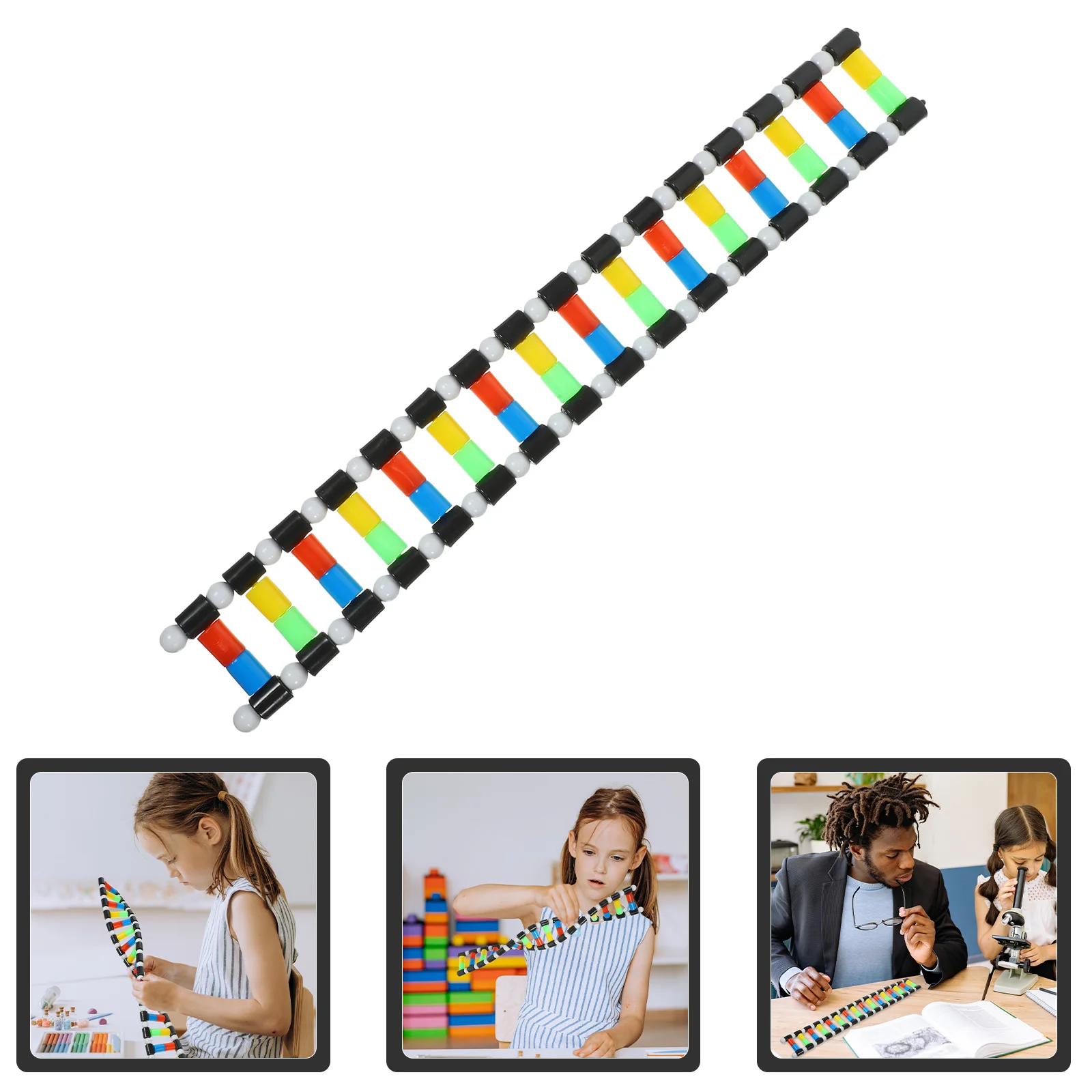 Double Helix Model Dna Kit for Students Science Educational Toys Classroom Molecular Models Biology Gifts Teaching