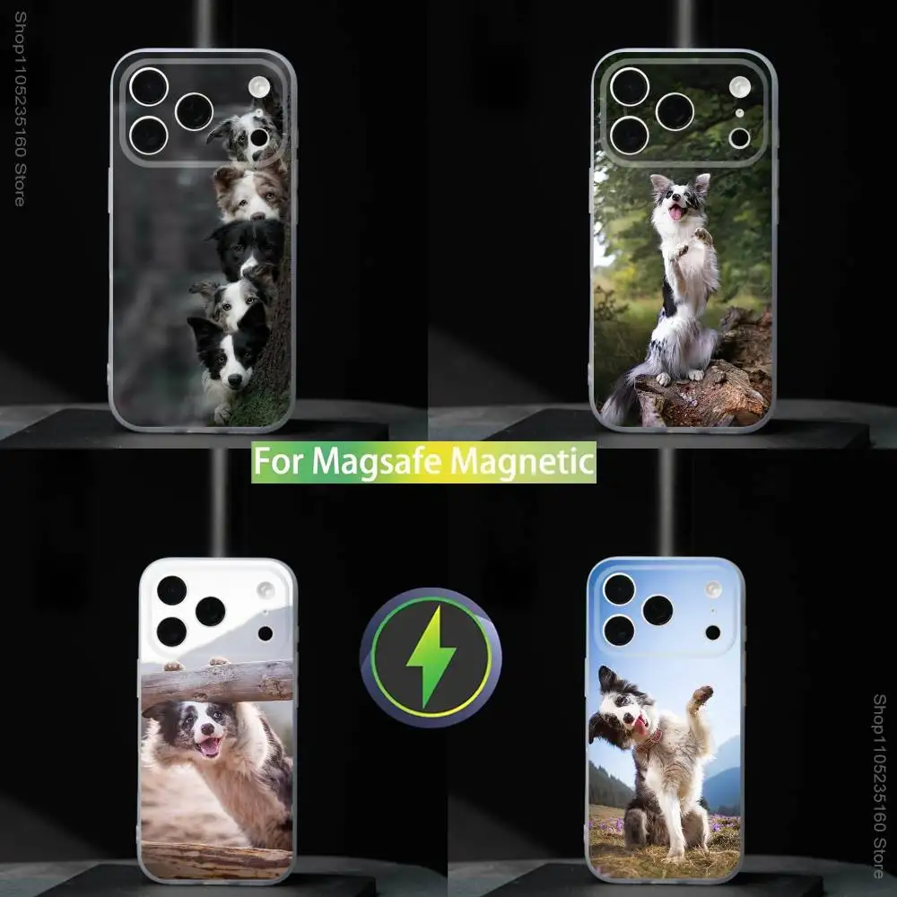 

Border C-Collie Dog Phone Case For iPhone 17,16,15,14,13,12,11,Pro,Max,Plus,Mini,SE4,E For Magsafe Wireless