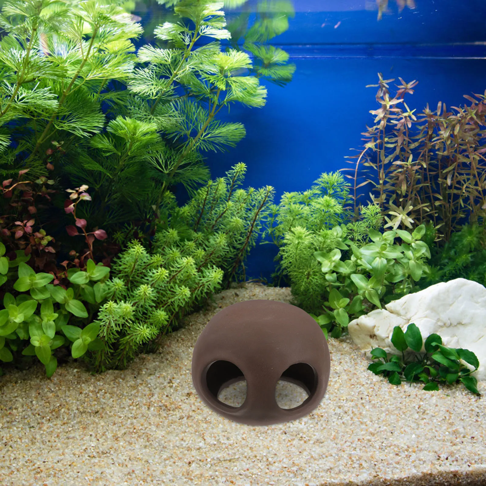 

Fish Tank Hideout Aquarium Ornament Small Shrimp Shelter House Betta Cave Hiding Decor Multifunctional Durable Accessory