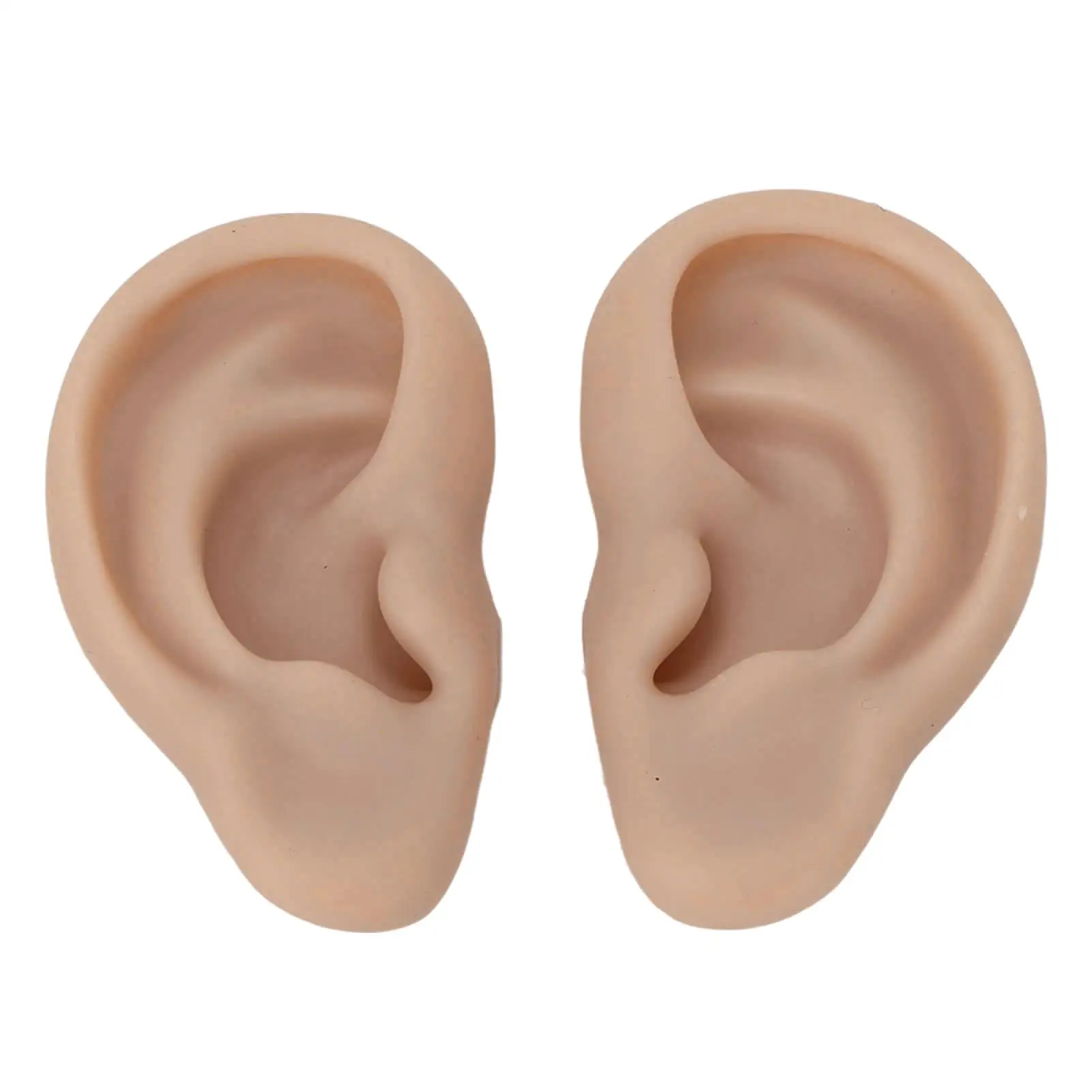 Silicone Ear Model for earrings Display and Piercing Practice