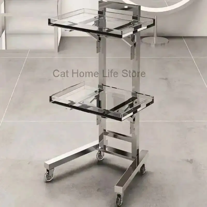 

Luxury Organizer Professional Aesthetic Cart Salon Trolley With Wheels Carrito Organizador Con Ruedas Salon Equipment Furniture