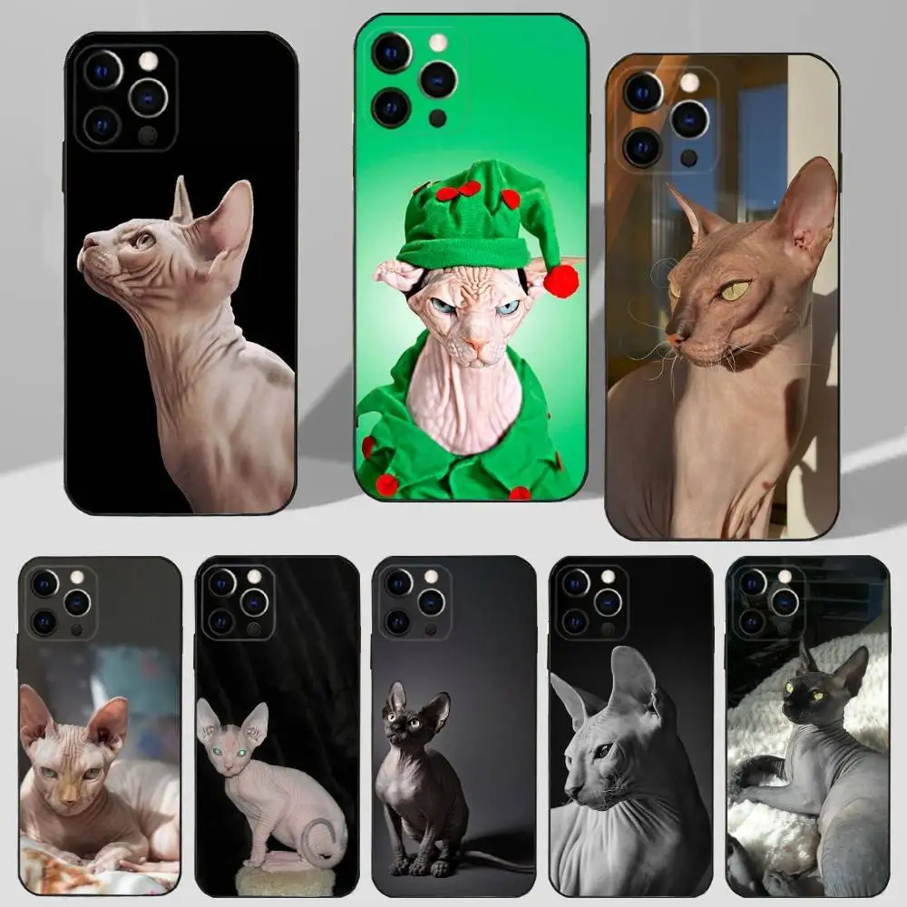 สัตว์เลี้ยงแมวSphynx Sphinxเคสโทรศัพท์สําหรับiPhone 16,15,14,13,12,11 Plus,Pro Max,XS,X,XR,SE,Mini,8,7 ซิลิโคนนุ่มปกสีดํา