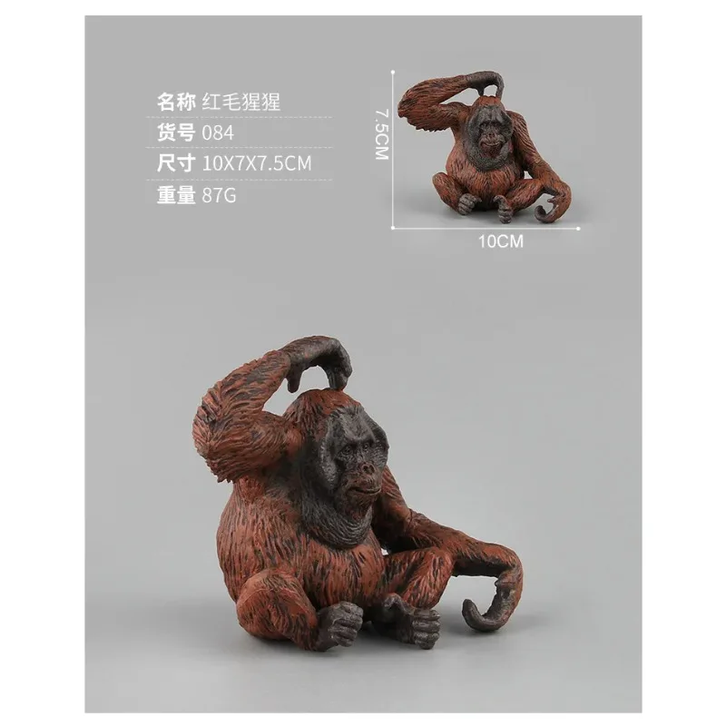 1/6 Scale Resin Simulation Red Orangutan Sitting Scratching Head Animal Doll for Action Figures Ornament Collection