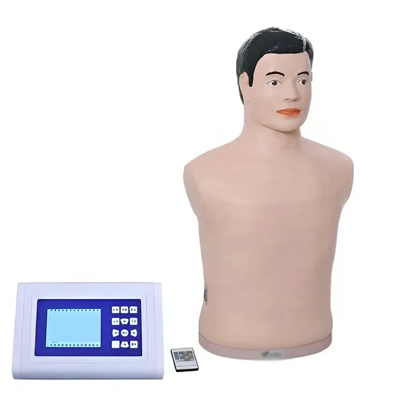 Medical Science Human Heart and Lung Auscultation Model Palpation Manikin Stethoscope     