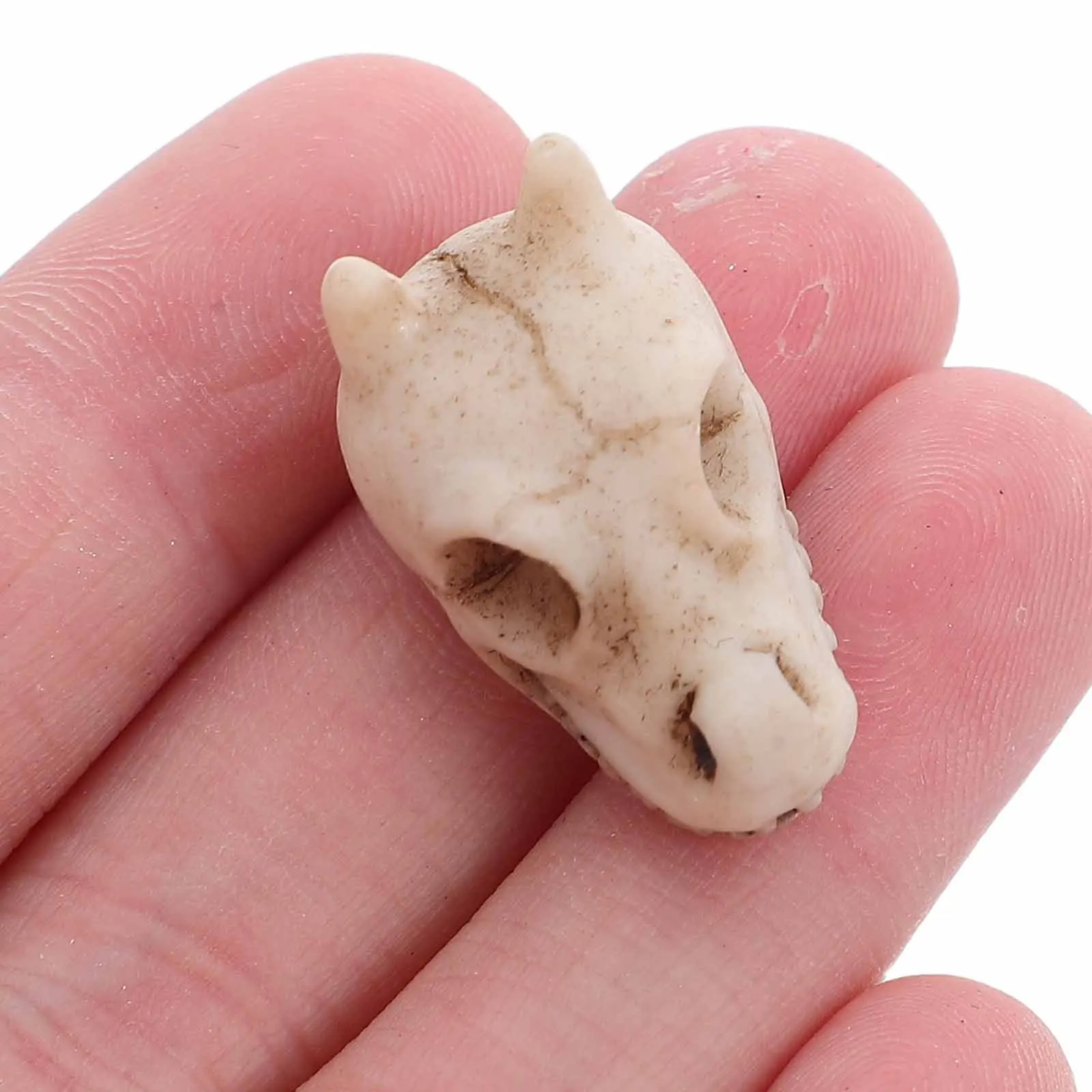 

20pcs Mini Dragon Skull Decorations Resin Outdoor Garden Statues For Lawn Fish Tank Backyard Patio Waterproof Weather Resistant