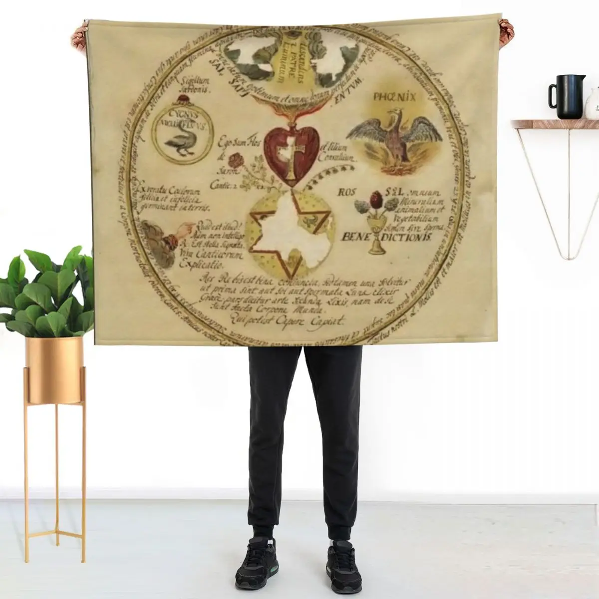 Rosicrucian Alchemy #3 Throw Blanket Luxury sofa bed Bed for babies Kid'S Luxury Thicken Blankets