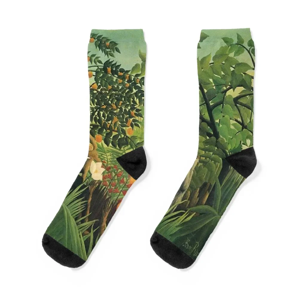 Exotic landscape by Henri Rousseau Socks compression men cotton high quality hip hop Socks For Men Women's