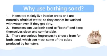 1公斤倉鼠洗澡沙,無塵,可用作倉鼠、龍貓、沙鼠、小鼠、八齒鼠等小型寵物的洗澡或如廁墊,白色沙子 12 最佳銷售 倉鼠沙 - №6