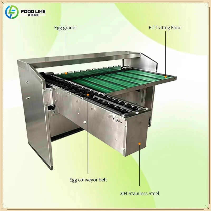 Automatic Egg Classifier for Chicken Egg Grader High Precision Egg Weight Sorting Machine FL Customized