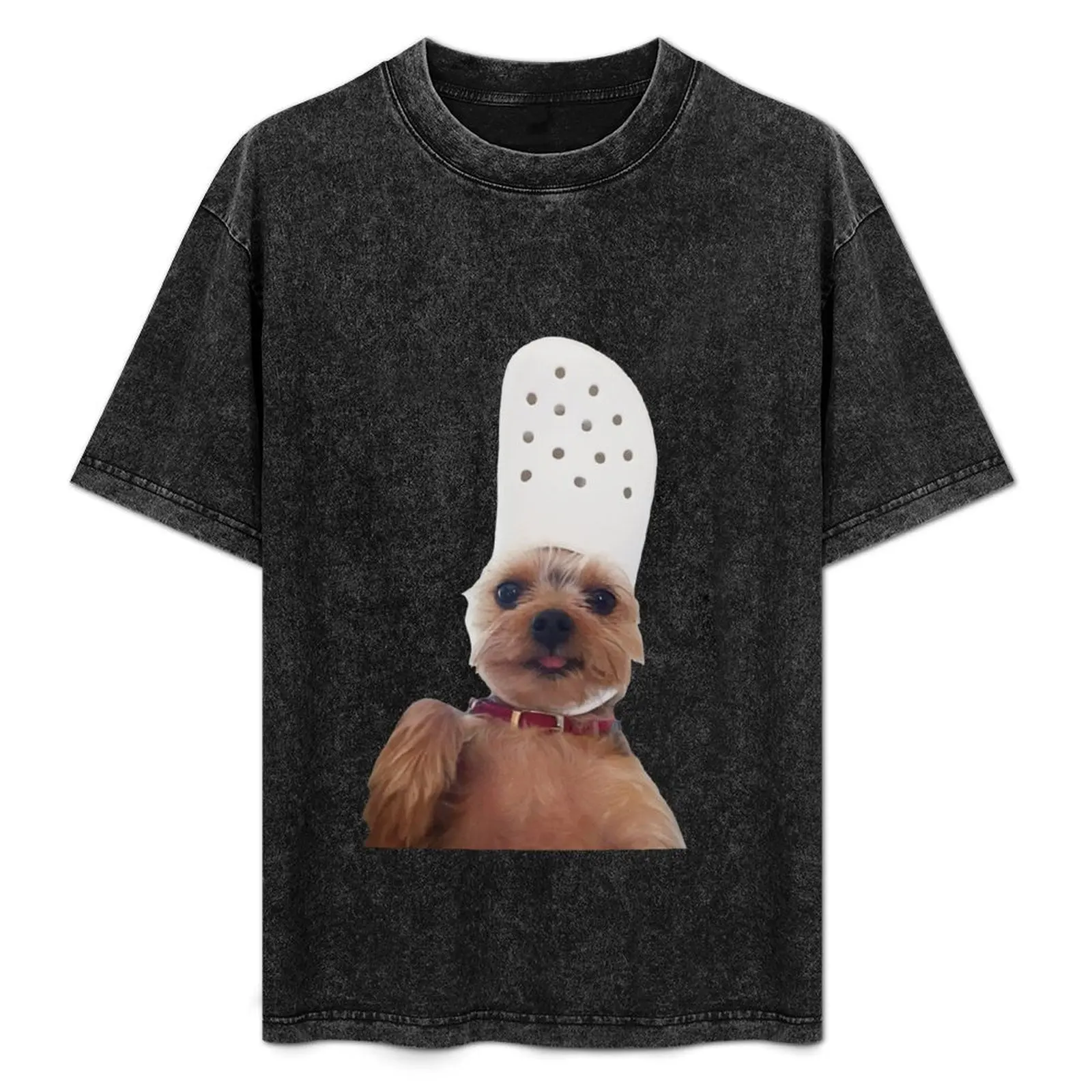 

dog wearing crocks T-Shirt plain valentines clothes graphic t shirts men workout shirt