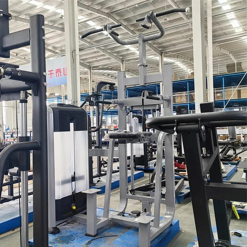Commercial Pin Loaded Best Gym Machine Pull up Machine Strength Training Dip/Chin Assist Equipment